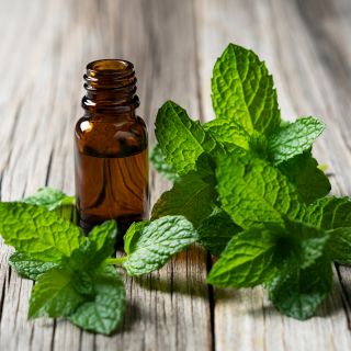 Olio di Menta Piperita